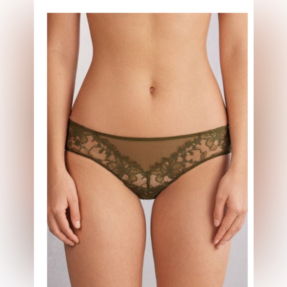 Intimissimi Dark olive Green journey tulle and Lace Panties, NWT large